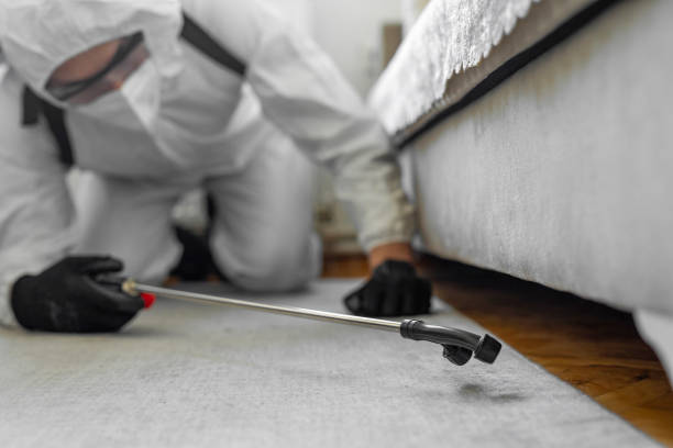 Professional Pest Control technician working in Seminole, FL