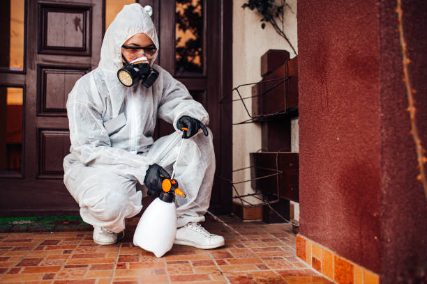 Reliable Cockroach Control contractor in Seminole, FL by Nex Pest Control
