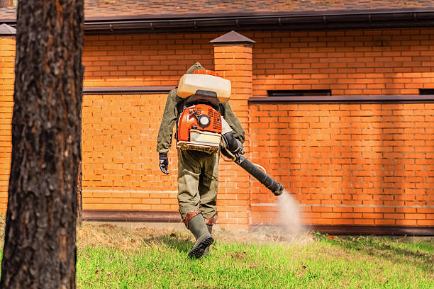 Trusted Mosquito Control service in Seminole, FL - Nex Pest Control